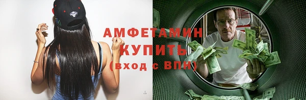 СК Ельня