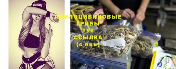 ECSTASY Елизово