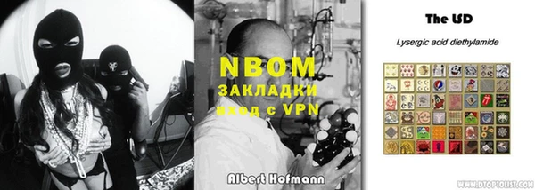 СК Ельня