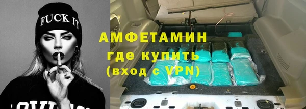 СК Ельня