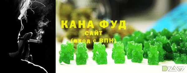 СК Ельня