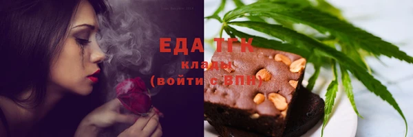 СК Ельня