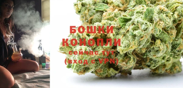 ECSTASY Елизово