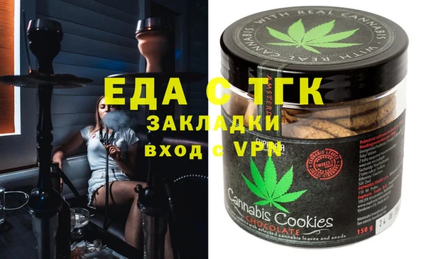 СК Ельня