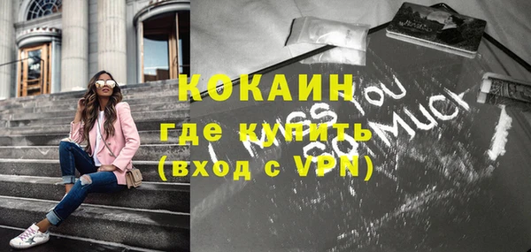 СК Ельня