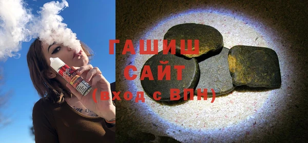 СК Ельня