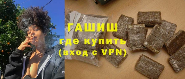 СК Ельня