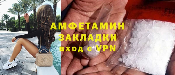 СК Ельня