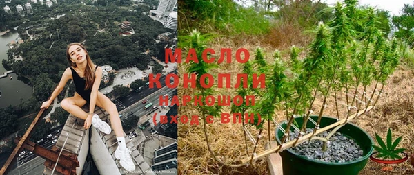 СК Ельня