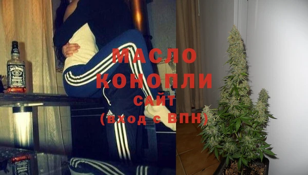 СК Ельня