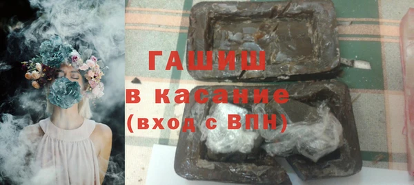 СК Ельня