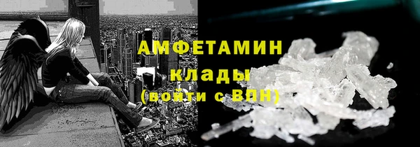 СК Ельня