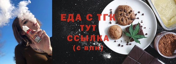 СК Ельня