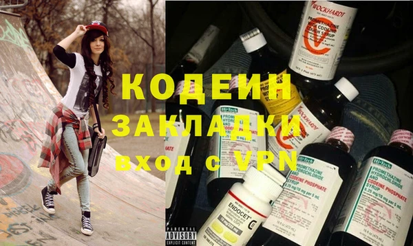 СК Ельня