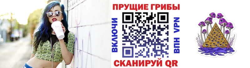 darknet как зайти  Назрань  Галлюциногенные грибы ЛСД 